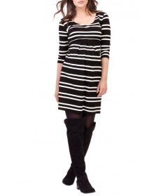 Isabella Oliver 'Finch' Striped Maternity Dress