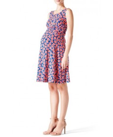 Leota 'Brittany' Sleeveless A-Line Maternity Dress