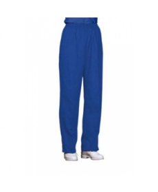 Fashion Seal scrub pant - Blueberry 