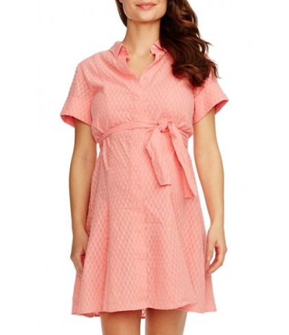 Rosie Pope 'Ali' Maternity Shirtdress